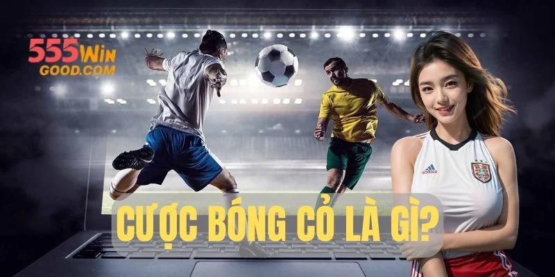 Cược Bóng Cỏ Là Gì? Bí Quyết Soi Kèo Giải Đấu Nhỏ Từ A-Z