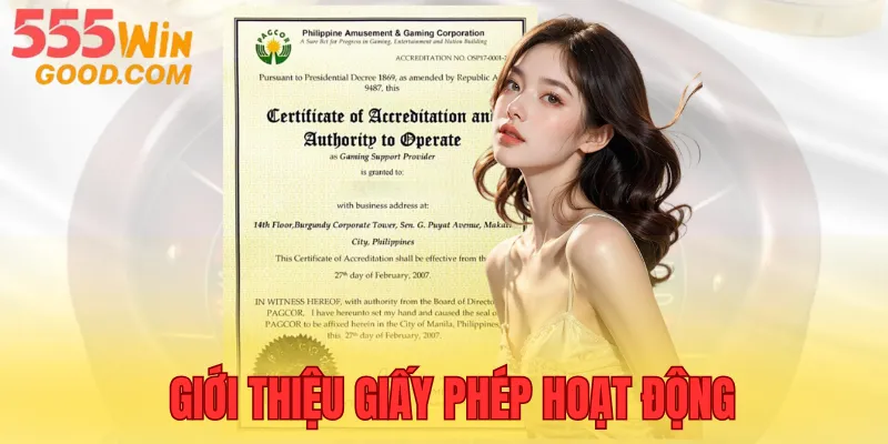 Tìm hiểu giấy phép hoạt động